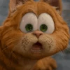 garfield 13