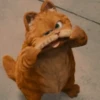 garfield 14