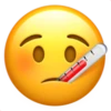 IOS Emoji 2 21