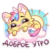 candycat_vk 27