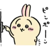 Chiikawa (Usagi) 25