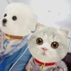 cat my love 13