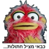 כבאי מציל חתולות...