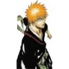 BLEACH quotes 30