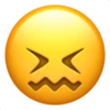 IOS Emoji 2 27