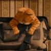 garfield 17