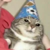 OUTHCATS