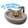 catspb 6
