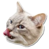 Caters Gonna Cate 7