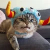 Gatos e Cachorros 13