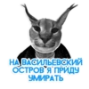 catspb 8