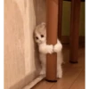 catsaandlove 11