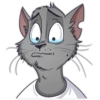CatStepan 6