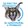 catspb 11