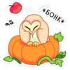 applevk 10