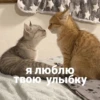 catsaandlove 17