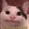 YEAH IM SMILING