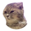 ЗЛЮСЯ