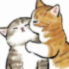 Kawaii cat 12