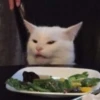 Caters Gonna Cate 12