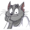 CatStepan 12