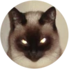 Lol cats 9
