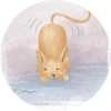 Cats in Circle 8