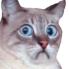 Caters Gonna Cate 14
