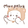 bear please 13
