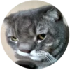 Lol cats 11