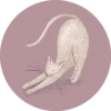 Cats in Circle 9