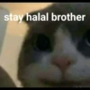 Khusus buat Chat Me dari biologi 11