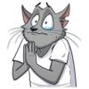 CatStepan 14