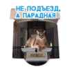 catspb 14