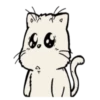 Cat and Dog 8