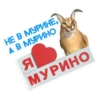 catspb 15