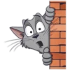 CatStepan 17