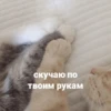 catsaandlove 22