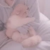 cats 21