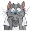 CatStepan 20