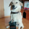 AEG