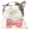Caters Gonna Cate 17