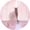 Cats in Circle 13