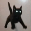Cat 21