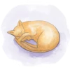 Cats in Circle 14