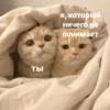 catsaandlove 24