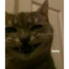 hehe