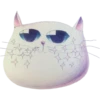 cats 12