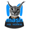 catspb 17