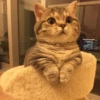 catsaandlove 26